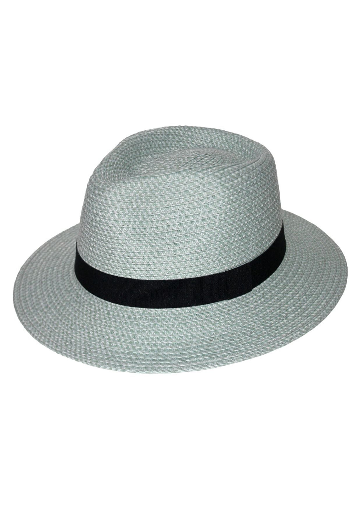 Carolina Fedora