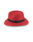 Carolina Fedora